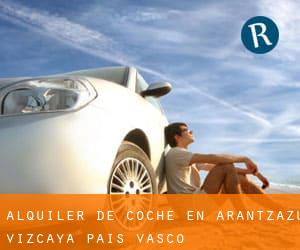 alquiler de coche en Arantzazu (Vizcaya, País Vasco)