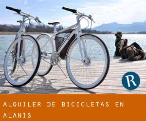 Alquiler de Bicicletas en Alanís