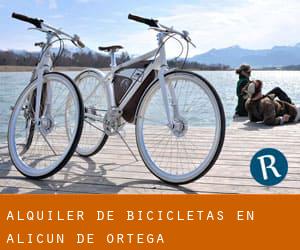 Alquiler de Bicicletas en Alicún de Ortega