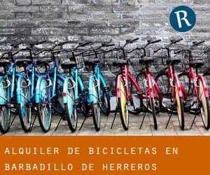 Alquiler de Bicicletas en Barbadillo de Herreros