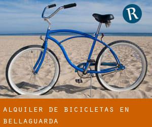 Alquiler de Bicicletas en Bellaguarda