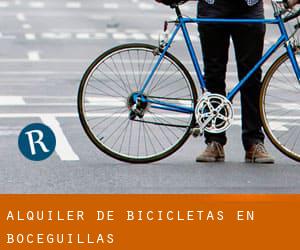 Alquiler de Bicicletas en Boceguillas