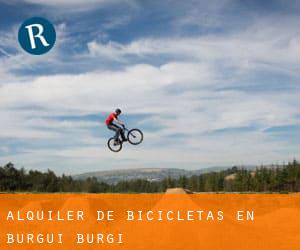 Alquiler de Bicicletas en Burgui / Burgi