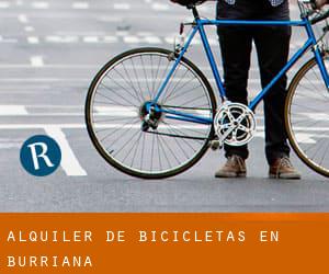 Alquiler de Bicicletas en Burriana