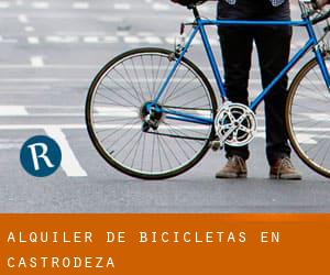 Alquiler de Bicicletas en Castrodeza