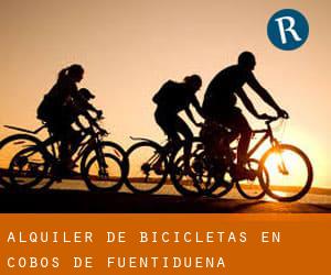 Alquiler de Bicicletas en Cobos de Fuentidueña