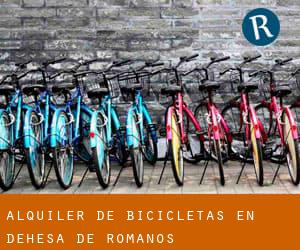 Alquiler de Bicicletas en Dehesa de Romanos