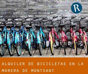 Alquiler de Bicicletas en la Morera de Montsant