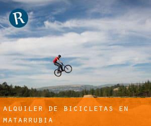 Alquiler de Bicicletas en Matarrubia