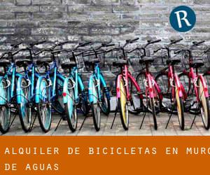 Alquiler de Bicicletas en Muro de Aguas