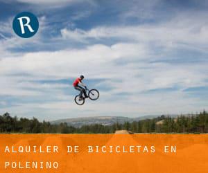 Alquiler de Bicicletas en Poleñino