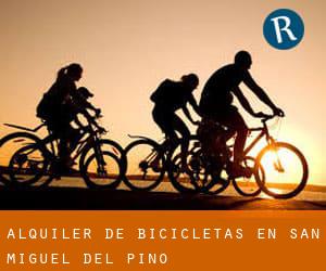 Alquiler de Bicicletas en San Miguel del Pino